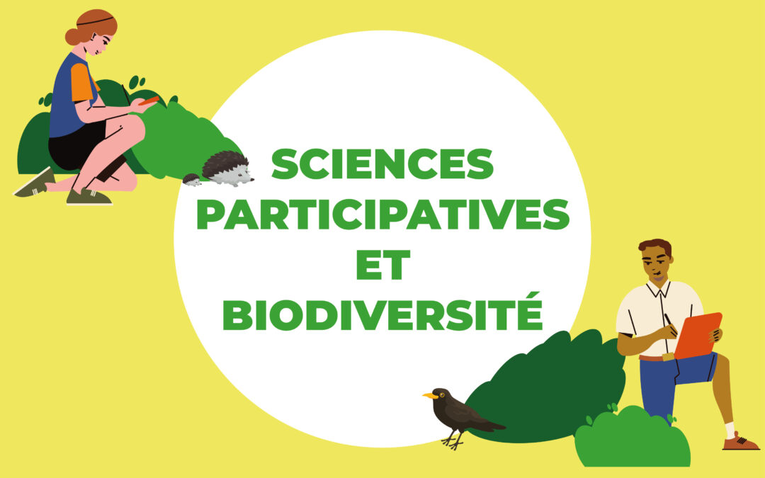 A la découverte des sciences participatives avec les enfants du parcours culturel élémentaire
