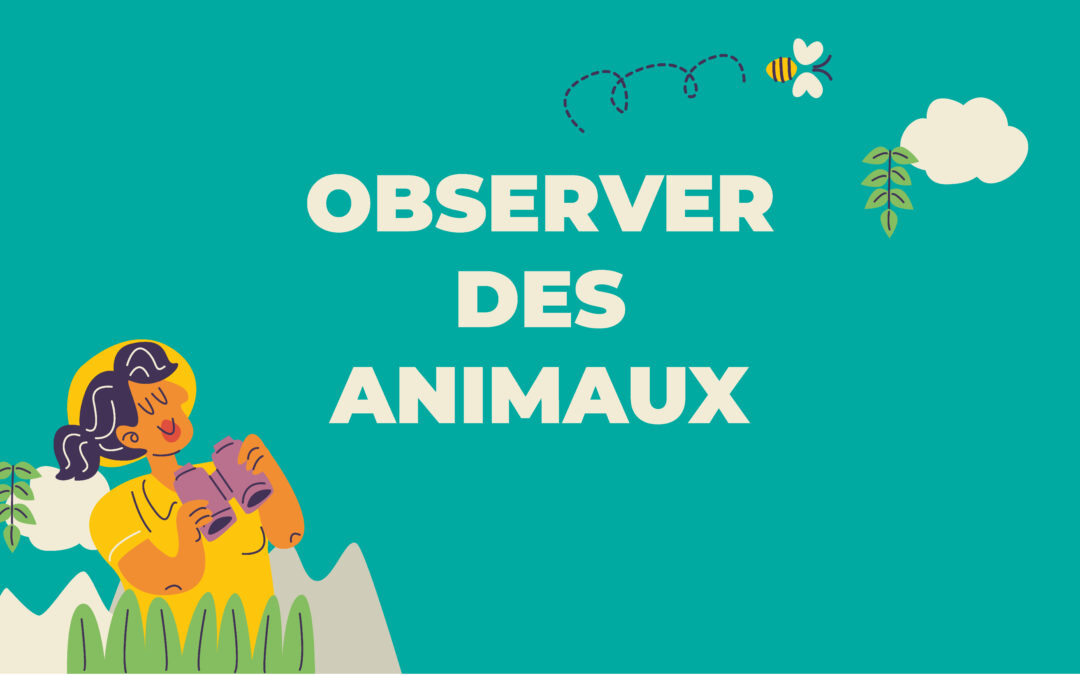 Observation d’animaux au CLAE Henri Puis élémentaire